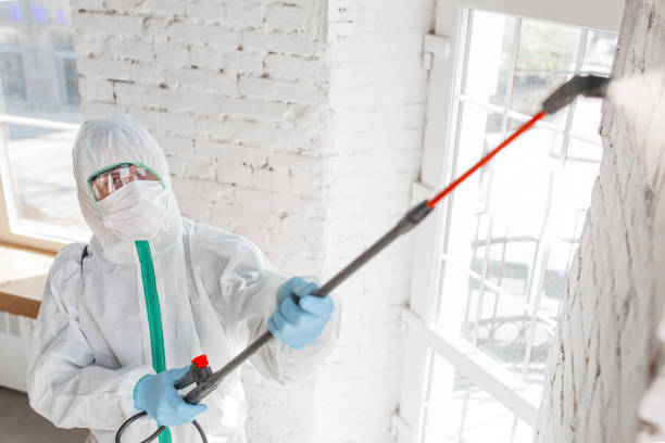 Best Residential Mold Inspection & Testing  in King Arthur Park, MT