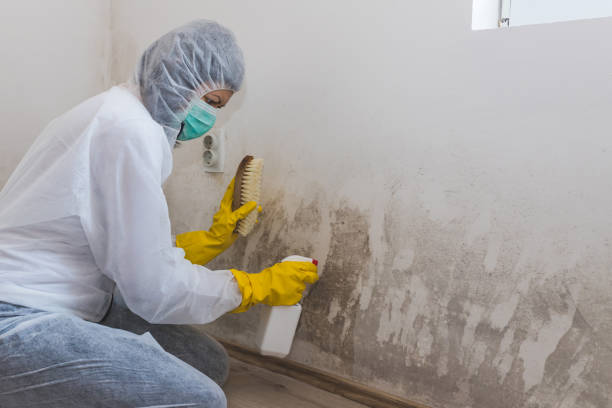 Asbestos and Lead Testing During Mold Inspection in King Arthur Park, MT