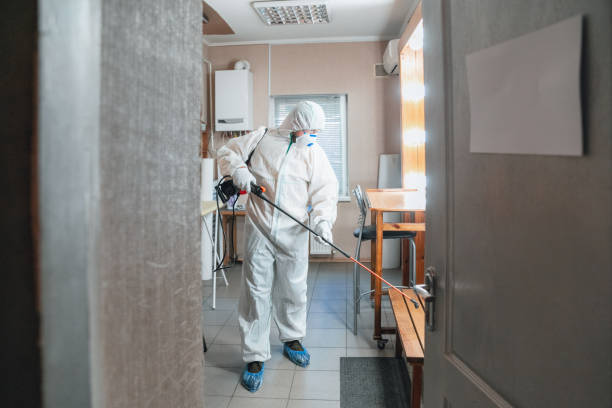 Best Mold Remediation for Healthcare Facilities  in King Arthur Park, MT