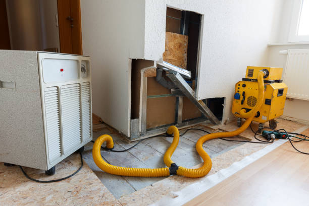 Professional Mold Removal in King Arthur Park, MT